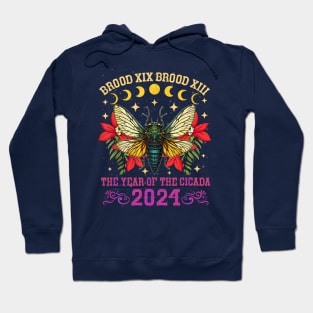 THE YEAR OF THE CICADA 2024 Hoodie